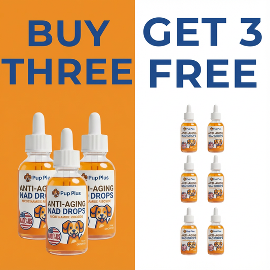 Buy Three Get Three Free (6 Months Supply)