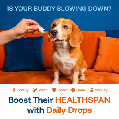 Pup Plus NAD+ Formula