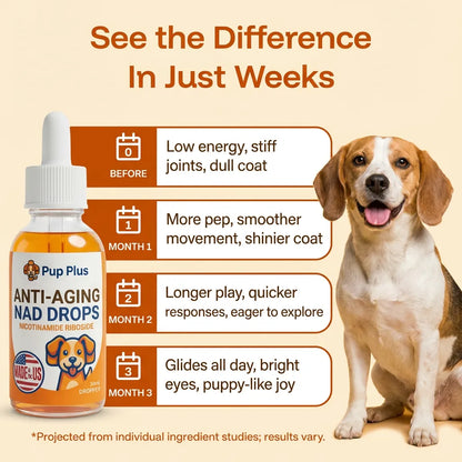 Pup Plus NAD+ Formula