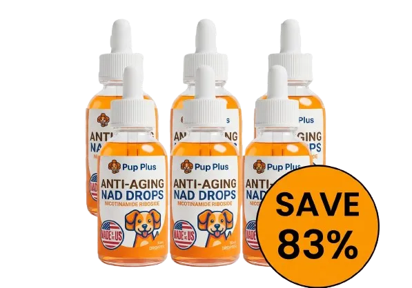 Anti aging  NAD drops (6 bottle bundle)