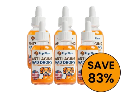 Pup Plus NAD+ Formula
