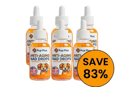 Pup Plus NAD+ Formula