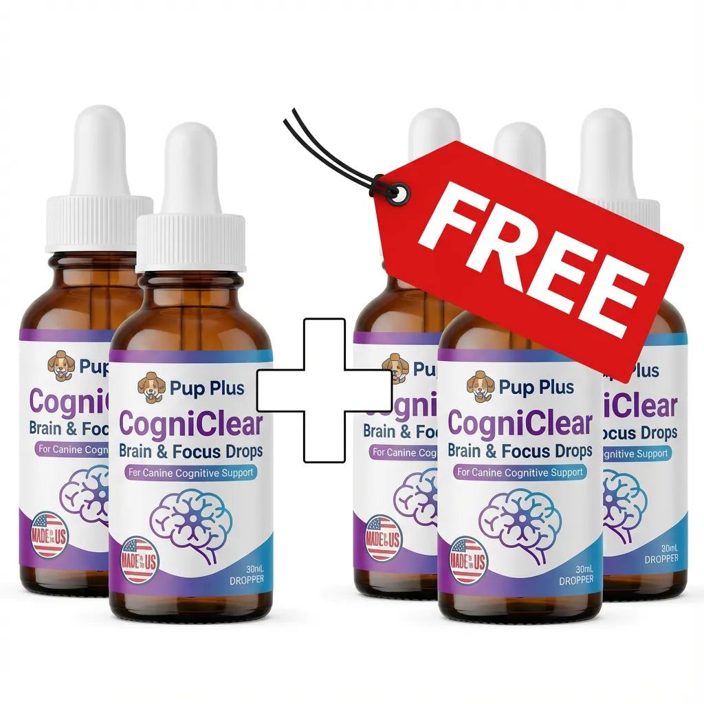 CogniClear™ Brain & Focus Drops (BUY 2 GET 3 FREE)