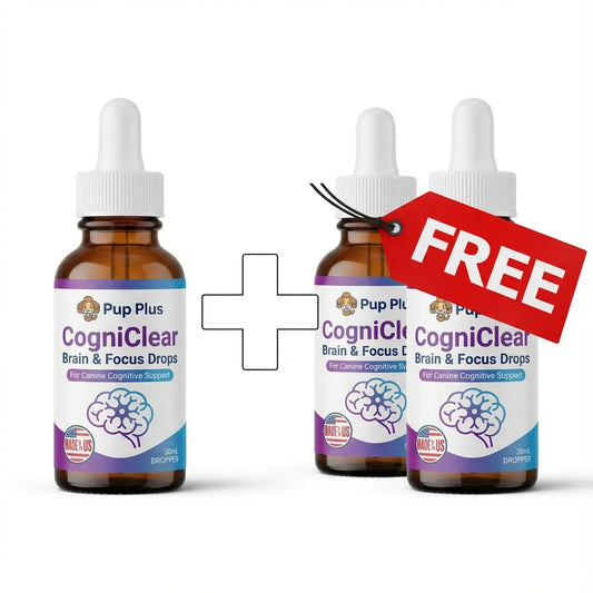 CogniClear™ Brain & Focus Drops (Buy 1 Get 2 FREE!)